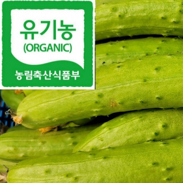 풀무리네,풀무리농장 유기농오이 50개